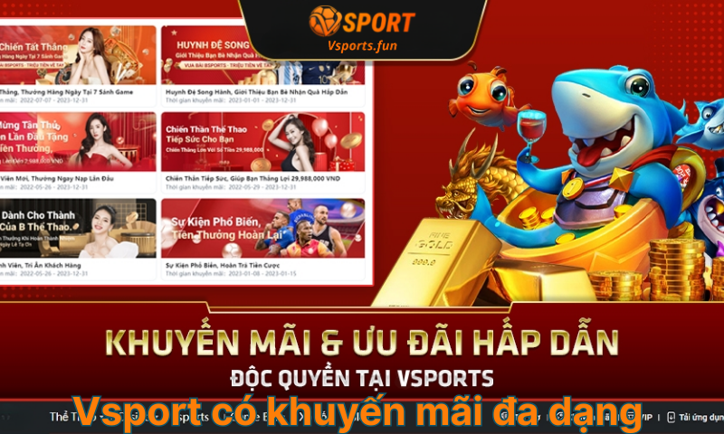 Vsport-co-khuyen-mai-da-dang
