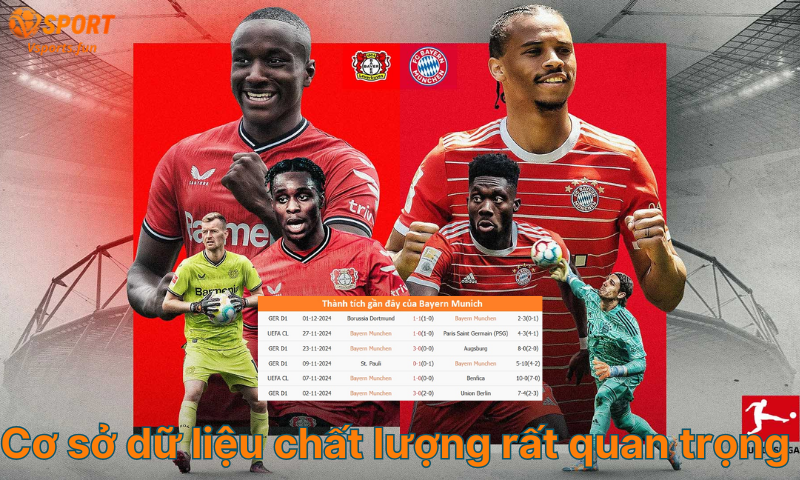 co-so-du-lieu-chat-luong-rat-quan-trong