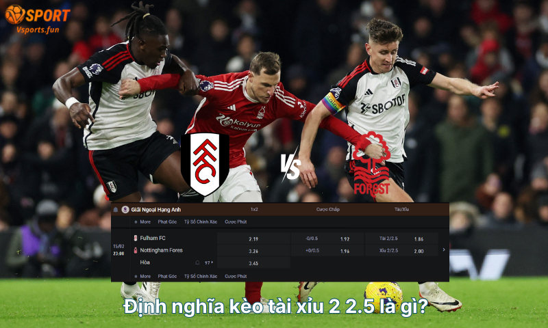 dinh-nghia-keo-tai-xiu-2-2-5-la-gi