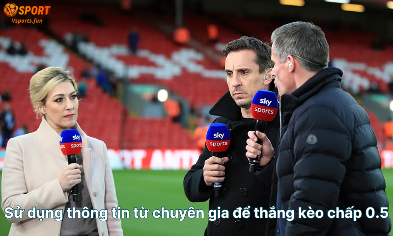 su-dung-thong-tin-tu-chuyen-gia-de-thang-keo-chap-0-5