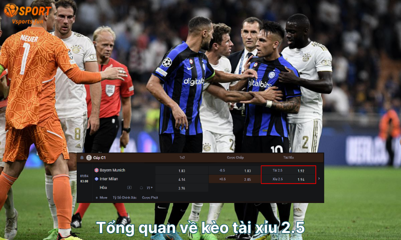 Tong-quan-ve-keo-tai-xiu-2-5