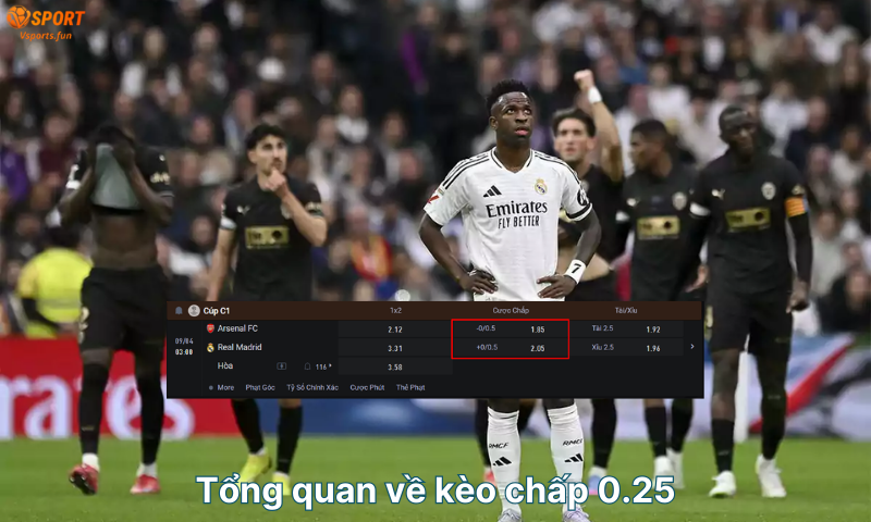 tong-quan-ve-keo-chap-0-2-5