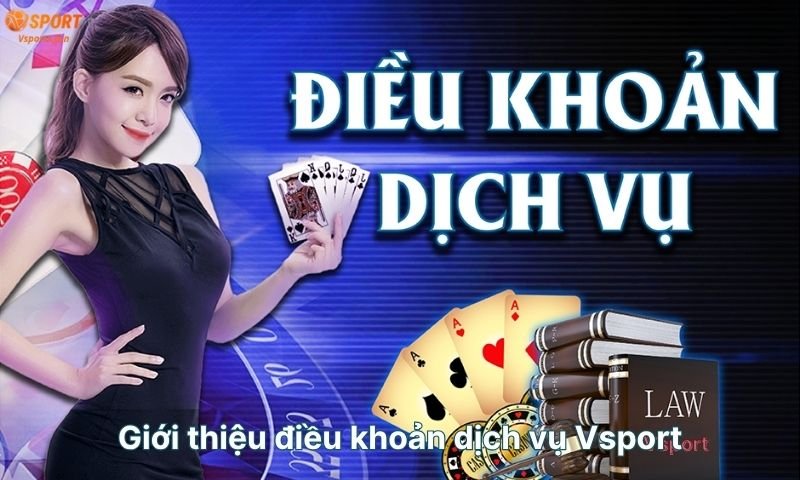 gioi-thieu-dieu-khoan-dich-vu-vsport